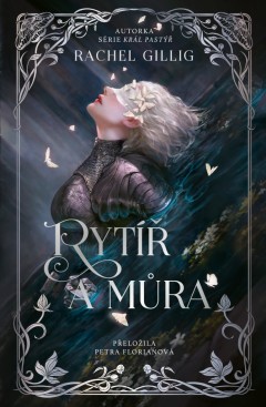 rytir-a-mura.jpeg